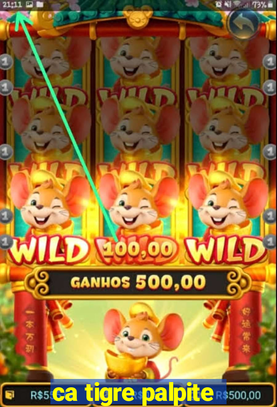 ca tigre palpite